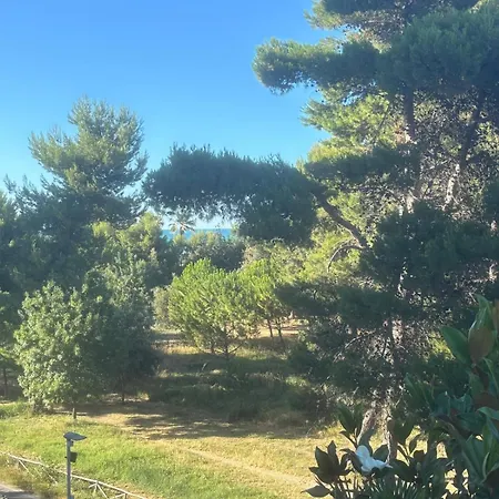 Frühstückspension La Magnolia